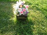 image of grave number 226225